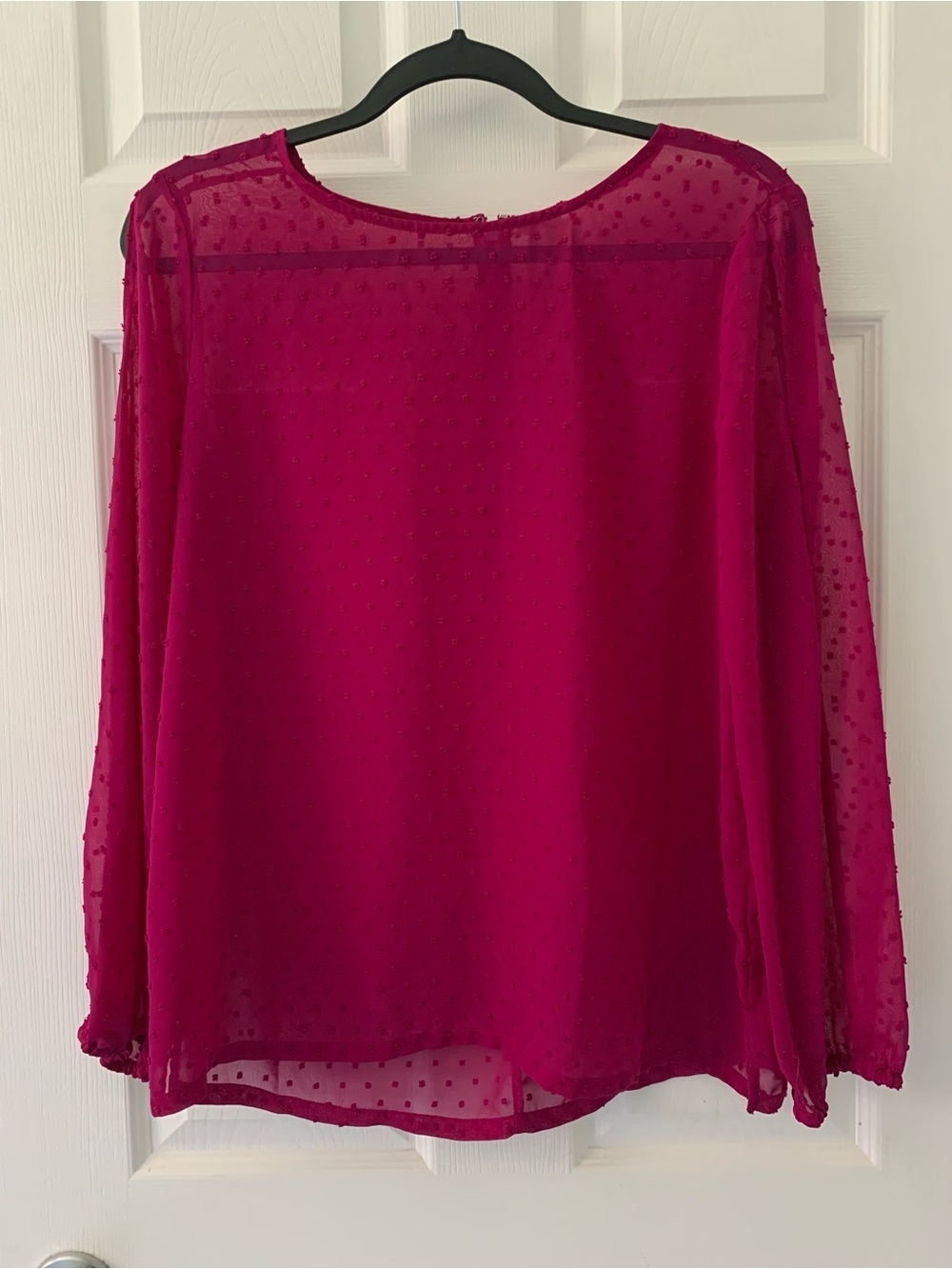 J. Crew Raspberry Swiss Dot Sheer Blouse